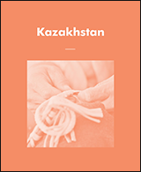 button of Kazakhstan