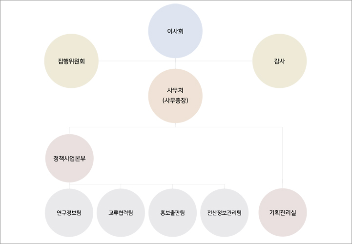 이사회 → 진행위원회,감사 → 사무처(사무총장) → 정책사업본부(연구정보팀,교류협력팀,홍보출판팀,전산정보관리팀) → 기획관리실