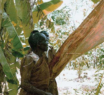 Barkcloth Making in Uganda